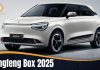 Dongfeng Box 2025