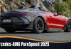 Mercedes-AMG PureSpeed 2025
